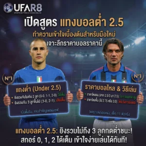 ราคาบอลต่ำ 2.5