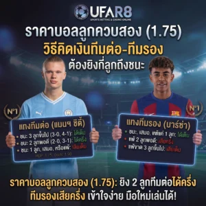 ราคาลูกควบสอง